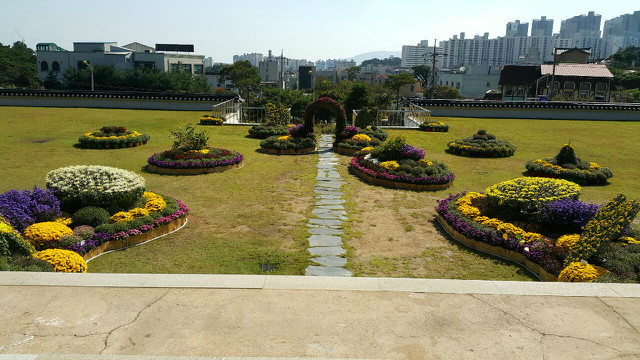20170922_142651.jpeg